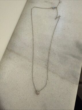Delicate Silver Halo Pendant Diamond Necklace - Women Jewelry